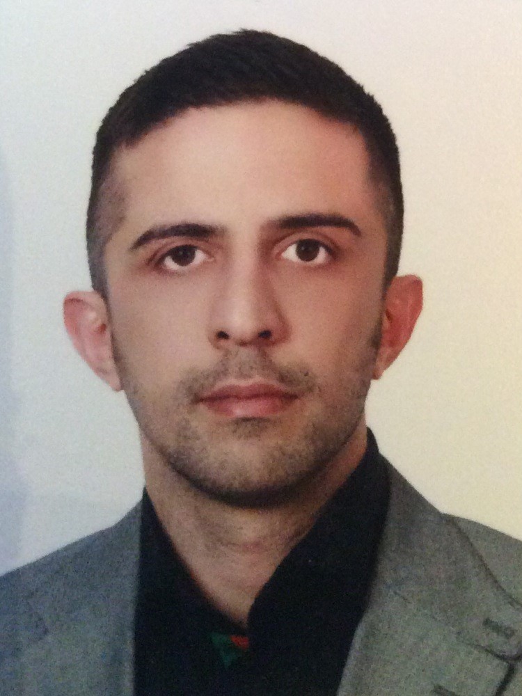 سیدحسام الدین امامی