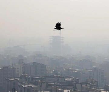 صدور قرار جلب به دادرسی از سوی دادستانی تهران برای ۵ مقام مسئول در رابطه با عدم انجام تکالیف قانونی در اجرای قانون هوای پاک